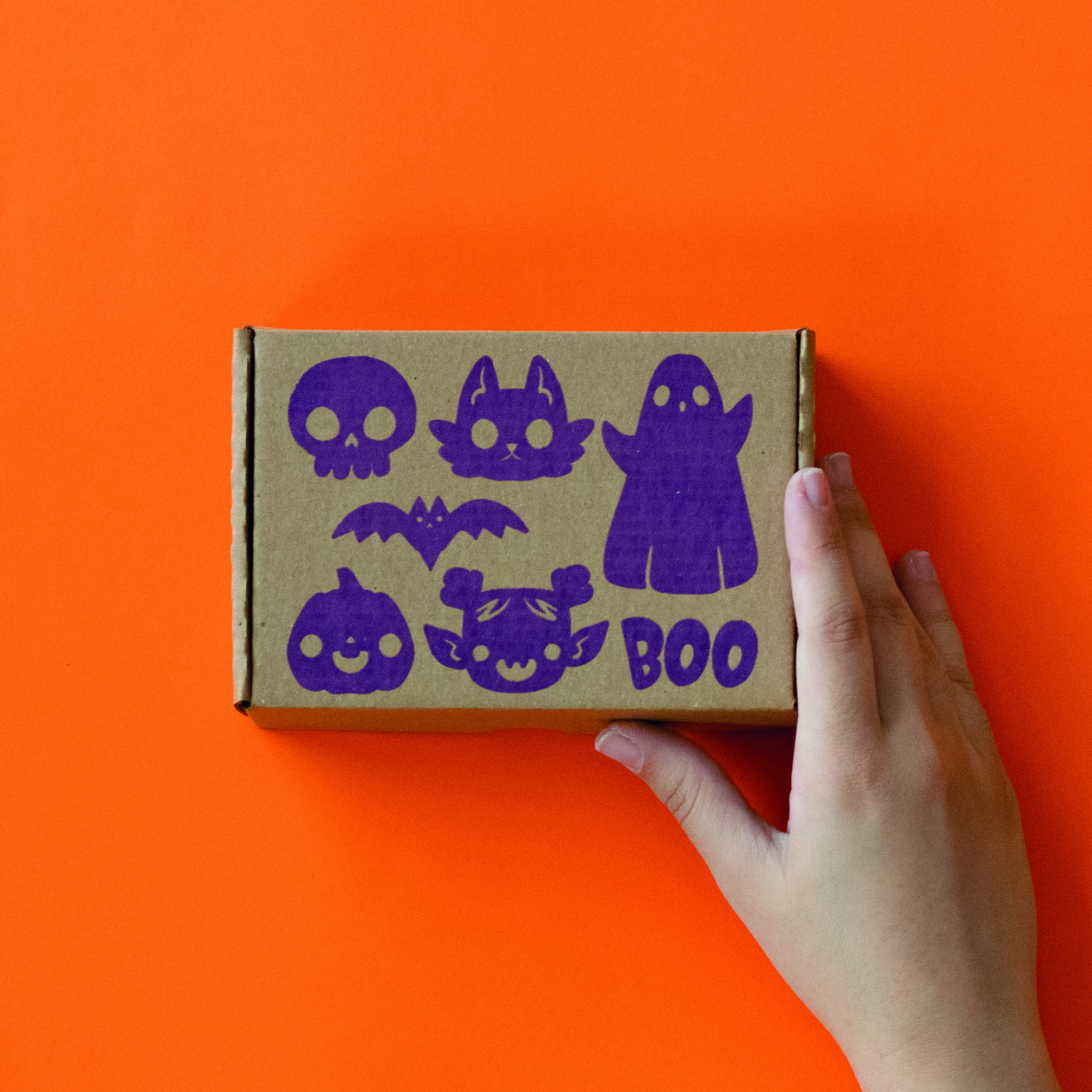 CAJA SOLA