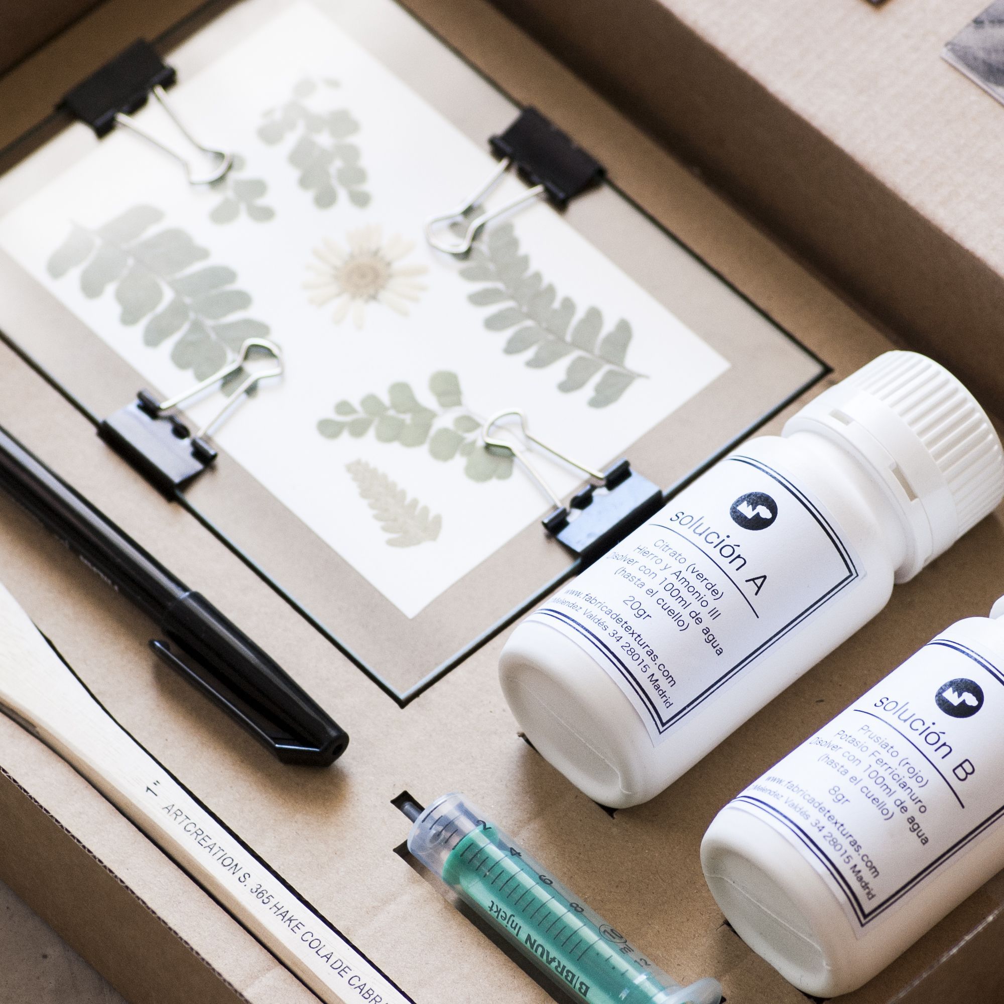 CIANO_05